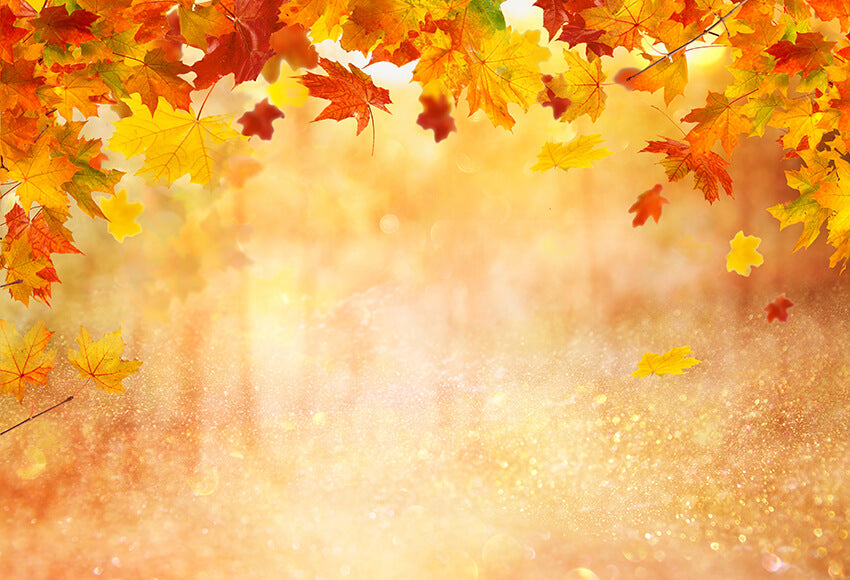 Autumn Photography Backdrop Fall Leaves D861