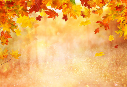 Autumn Photography Backdrop Fall Leaves