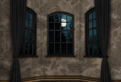 Haloween Moonlight Window Photo Shoot Backdrop