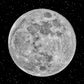 Halloween Backdrop Full Moon Night for Photography