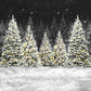 Christmas Night Forest Snow Photography Backdrop