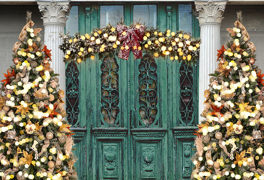 Vintage Door Christmas Tree Photography Backdrop D904