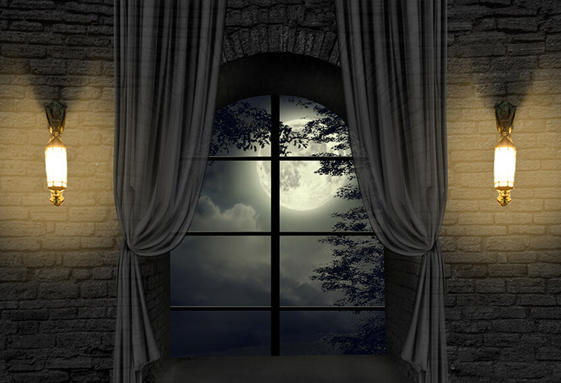 Mansion Moonlight Window Halloween Backdrop D911