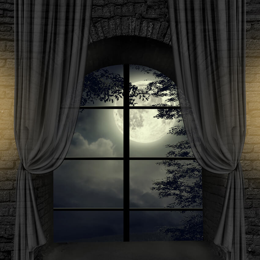 Mansion Moonlight Window Halloween Backdrop D911 – Dbackdrop