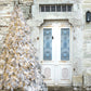 Stone House Door Christmas Tree Backdrop D931