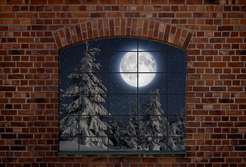 Outside Window Fir Tree Moon Winter Backdrop