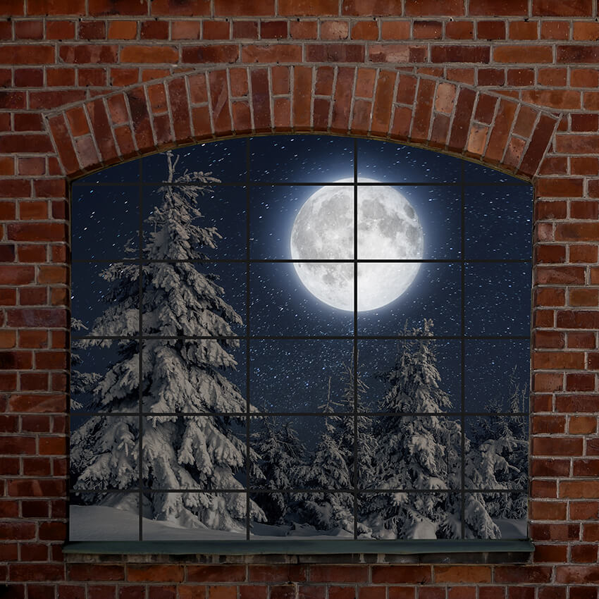 Outside Window Fir Tree Moon Winter Backdrop D948