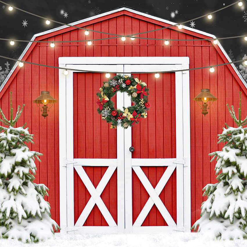 Christmas Outdoor Snow Red Barn Door Backdrop D957