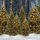 Snowy Forest Fir Tree Photography Backdrop D974