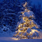 Snowy Fir Tree Winter Photography Backdrop D977