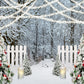 Frozen Forest Light Strings Christmas Backdrop D990