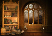 Wizard Library Bookshelf Window Backdrop D991 – Dbackdrop