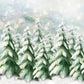 Snow Winter Fir Tree Photography Backdrop D997