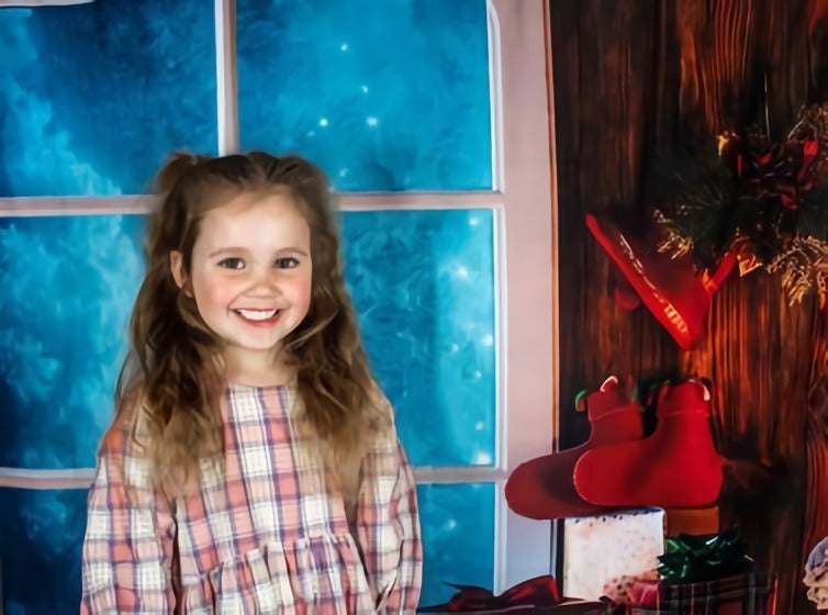 Christmas Moon And Reindeer Outside Window Backdrops for Photography DBD-19206
