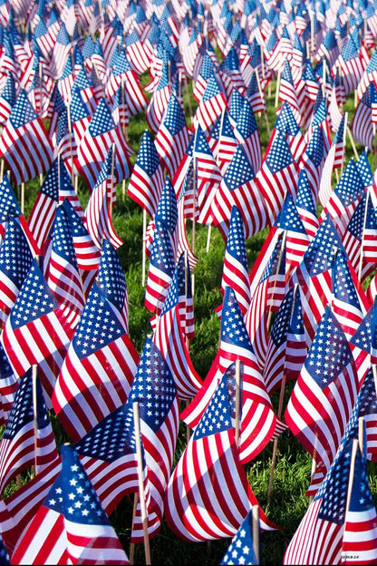  USA Flag Independence Day Photo Studio Backdrop DLR-2