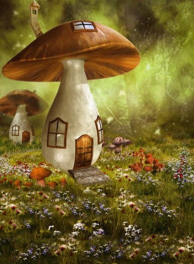 Dreamland Mushroom House  Photography Backdrops F-161