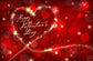 Happy Valentine‘s Day Red Photo Booth Backdrops F-2940