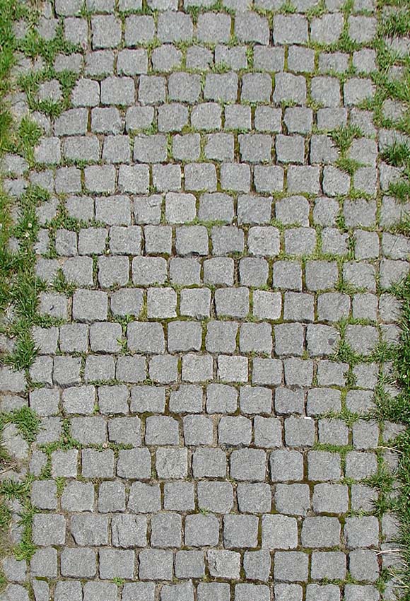 Stone Pathway With Grass Backdrop for Photo Studio F-383