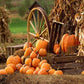 Autumn Farm Pumpkin Backdrops for Party Photography G-027