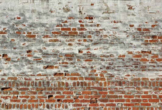 Weathered Concrete Brick Wall  Photography Backdrop GC-40