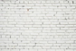 White Brick Wall  Backdrop for Photography G-55