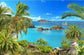 Coconut Tree Beach Ocean Photo Backdrop G-582