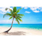 Coconut Tree Beaches Ocean Photo Backdrops  G-588