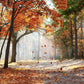 Autumn Fall Yellow Leaves Photo Backdrop G-593