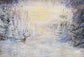 Winter Snow Christmas Newborn Children Photography Backdrop  G-907