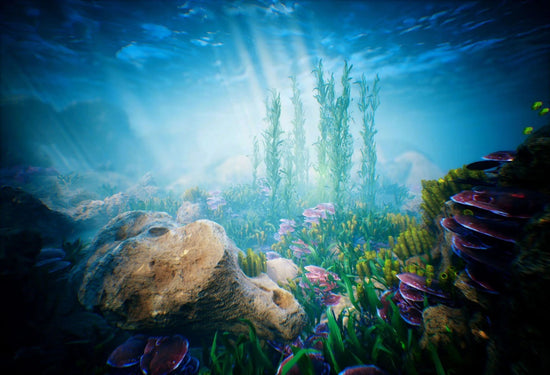 Undersea World Coral Photo Booth Backdrop GA-48 – Dbackdrop