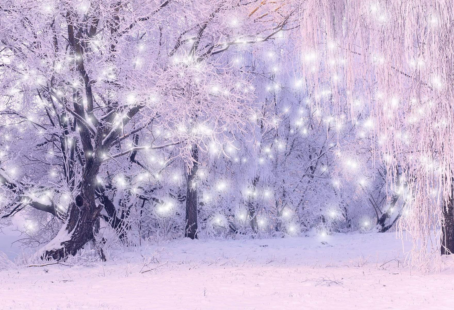 Xmas Snowflakes Winter Trees with hoarfrost Photo Studio Backdrop GC-112
