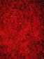 Red Rose Flowers Backdrops for Photography GC-121