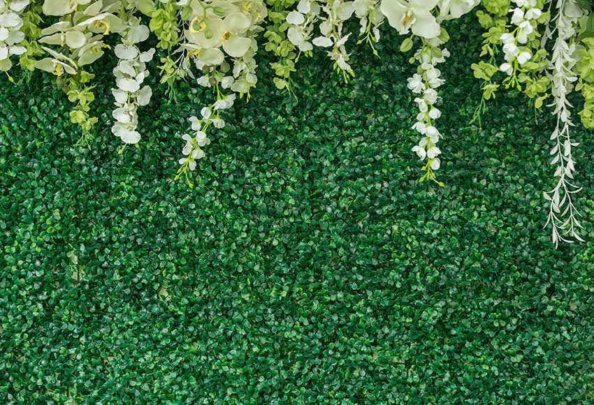 Floral Wall Backdrop Green Background for Photography GX-1034