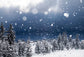 Winter Snow Scenery Forest Photo Backdrop GX-1042