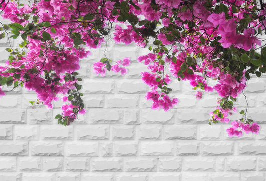 White Brick Wall Spring Flower Photo Backdrops HJ03177(1)
