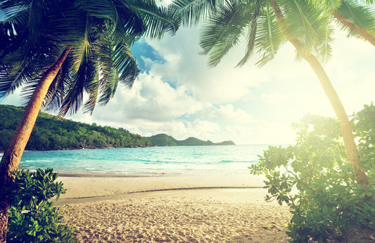 Summer Blue Ocean Beach Backdrop for Studio HJ05411