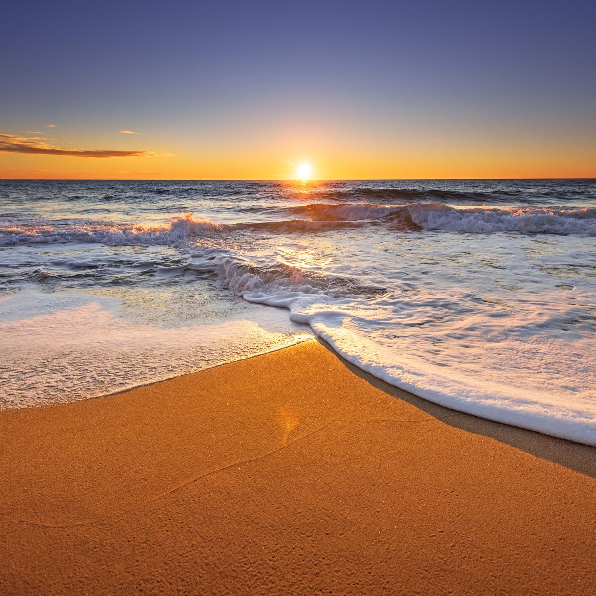 summer　sunset untitled-1-5_grande.jpg?v=