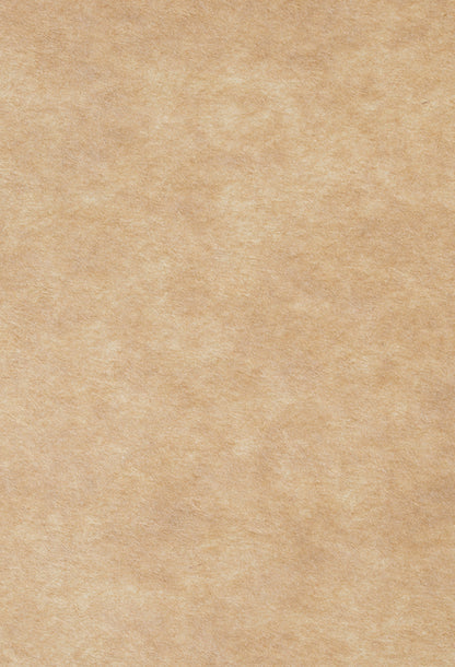 Sandy Beige Abstract Texture Photography Backdrop for Picture J08079