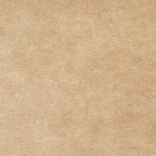 Sandy Beige Abstract Texture Photography Backdrop for Picture J08079