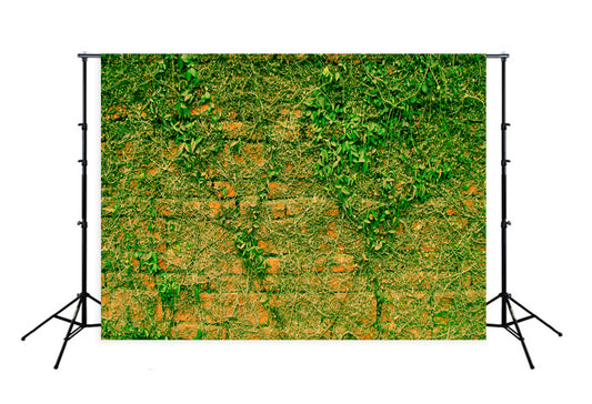 Green Plants Vintage Brick Wall Photography Backdrops K-788