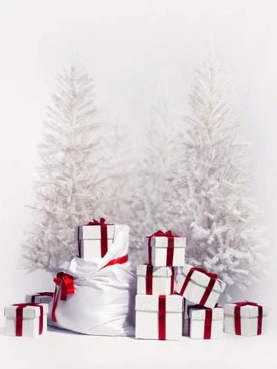 Christmas Tree  Snow  Gifts Photography Background KAT-38