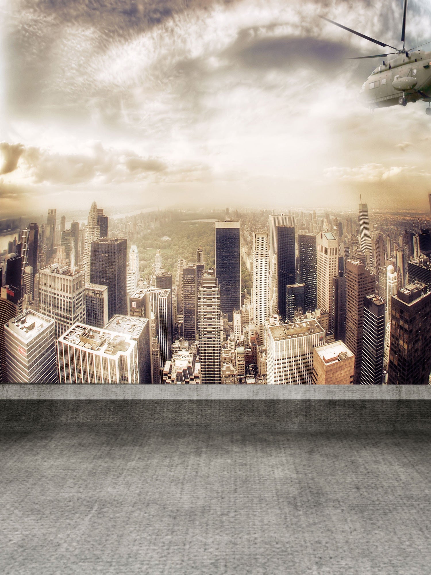 New York City Central Park Tall Buildings Backdrop for Studio LK-2959 ...