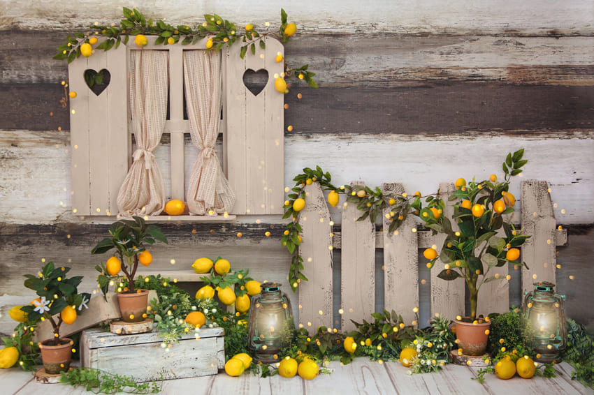 Summer Photography Lemon Tree Barn Backdrop 