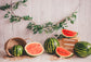 Summer Watermelon Wood Photo Booth Backdrop