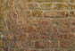 Grunge Brick Wall Backdrop for Photo Shoot  M268