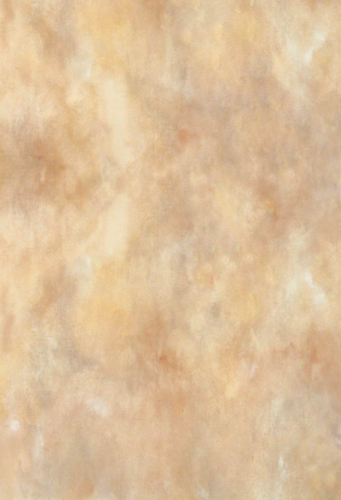 Portrait Backdrop Brown Abstract Texture  MR-2159