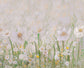 Gouache Oil Paint White Flowers Artistic Photography Backdrop NB-088