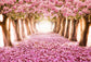 Scenic Backdrops Trees Parks Woodland Backdrops Pink Background S-2718