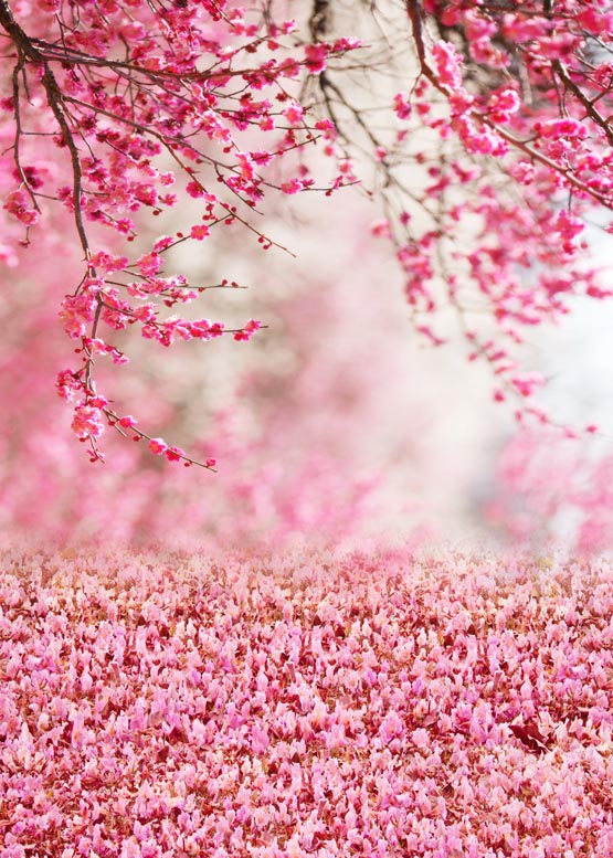 Pink Spring Backdrop Pink Spring Flowers Beautiful Photo Backdrop S-982 – Dbackdrop