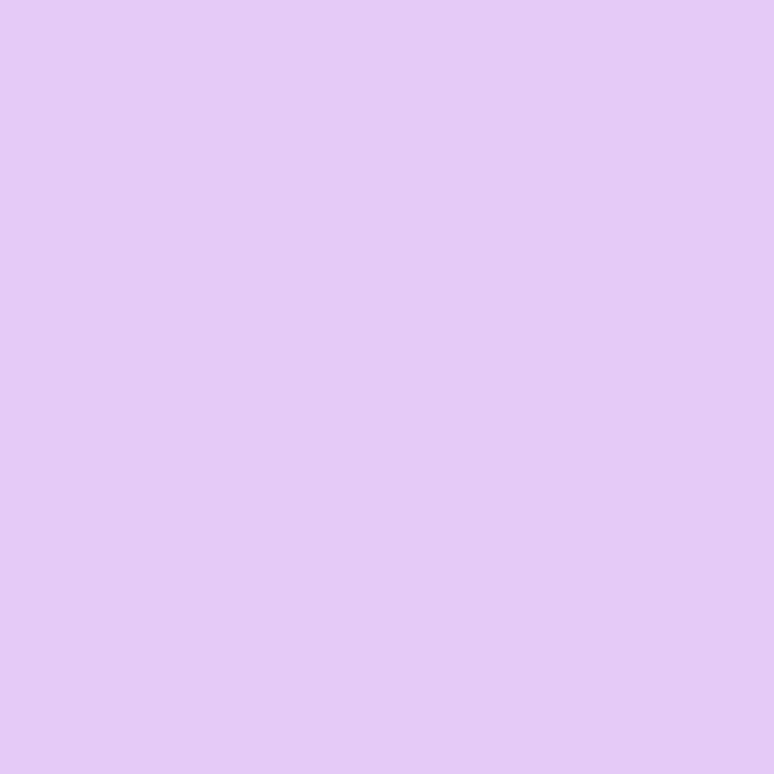Solid Color Lilac Screen Backdrop for Photography SC48 – Dbackdrop
